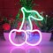 Summer Cherry Neon Sign, USB or 3-AA Battery Powered Neon Light, LED Table Decoration, Bedroom Wall Decoration, Birthday Gift, Wedding Supplies Business Gift (Green+Pink)